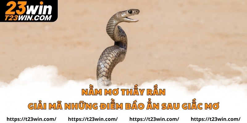 Nằm Mơ Thấy Rắn – Giải Mã Những Điềm Báo Ẩn Sau Giấc Mơ - Slotzuno96
