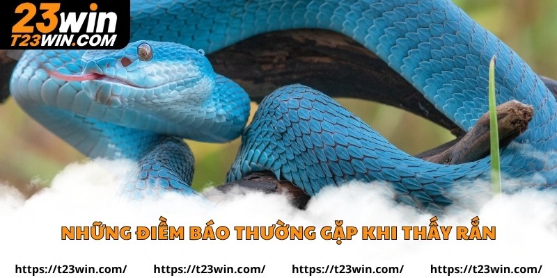 Nằm Mơ Thấy Rắn – Giải Mã Những Điềm Báo Ẩn Sau Giấc Mơ - Slotzuno96