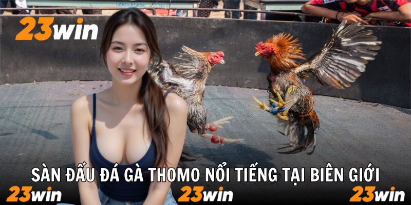 Đá Gà Thomo Sân Chơi Đỉnh Cao 23win Dành Cho Tín Đồ Gà Chiến - Slotzuno96