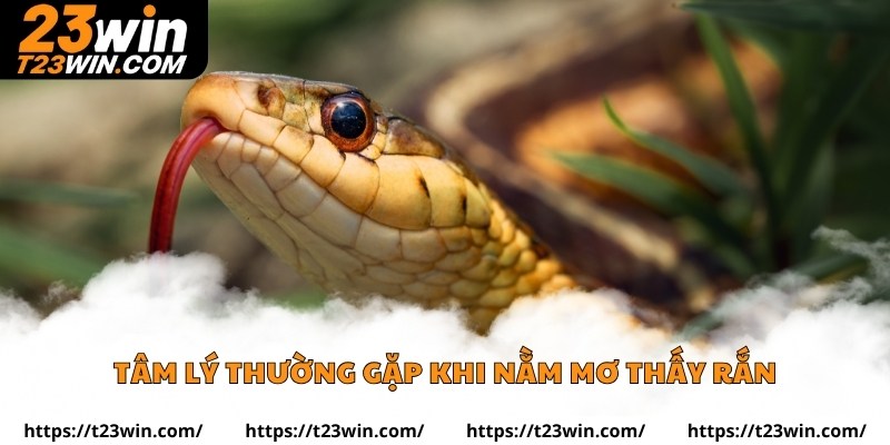 Nằm Mơ Thấy Rắn – Giải Mã Những Điềm Báo Ẩn Sau Giấc Mơ - Slotzuno96