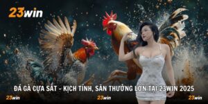 23WIN sakura ✅️ Link trang chủ 23WIN.COM 10/2026 - Tặng ngay 230K - Slotzuno96