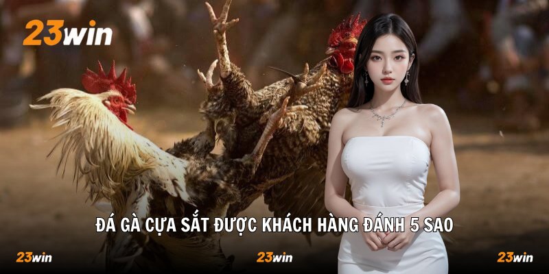 Đá Gà Cựa Sắt – Kịch Tính, Săn Thưởng Lớn Tại 23win 2026 - Slotzuno96