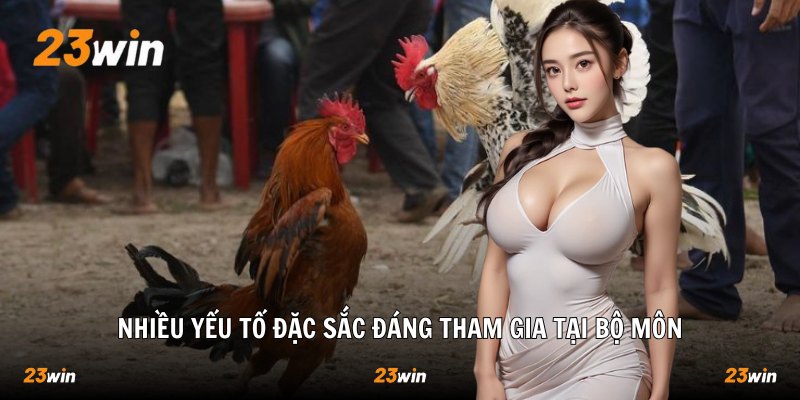 Đá Gà Cựa Sắt – Kịch Tính, Săn Thưởng Lớn Tại 23win 2026 - Slotzuno96